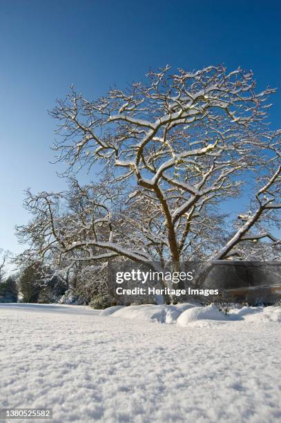 Eltham Palace, Court Yard, Eltham, Greenwich, London, 2009. General view of Eltham Palace's grounds in the snow, showing snow-covered trees on the...