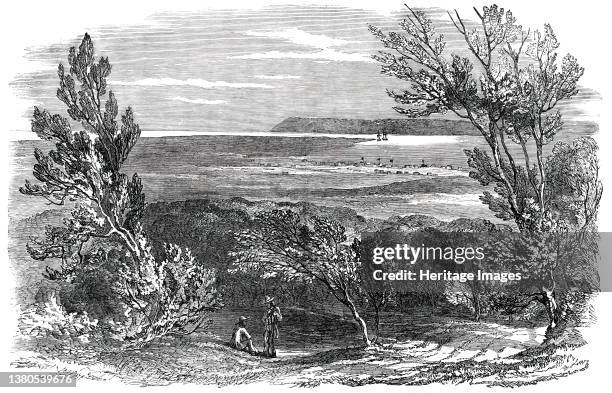 Bay and Settlement of Natal, now D'Urban, 1850. 'Great exertion is making at this moment to direct the great stream of emigration towards the new...