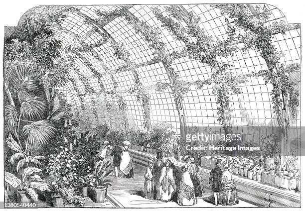 The Great Conservatory in the Gardens of the Horticultural Society, at Chiswick, [London], 1850. There were 5000 to 6000 visitors to the...