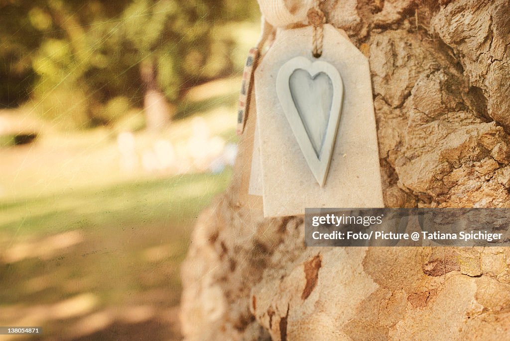 Heart tag hanging over tree