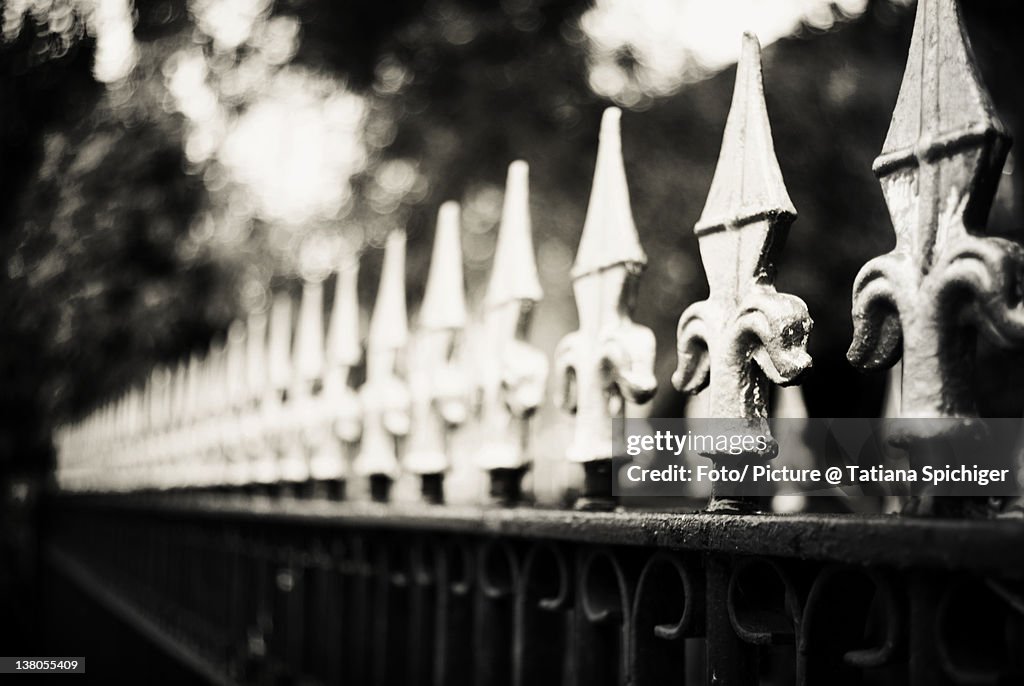 Black and white fence