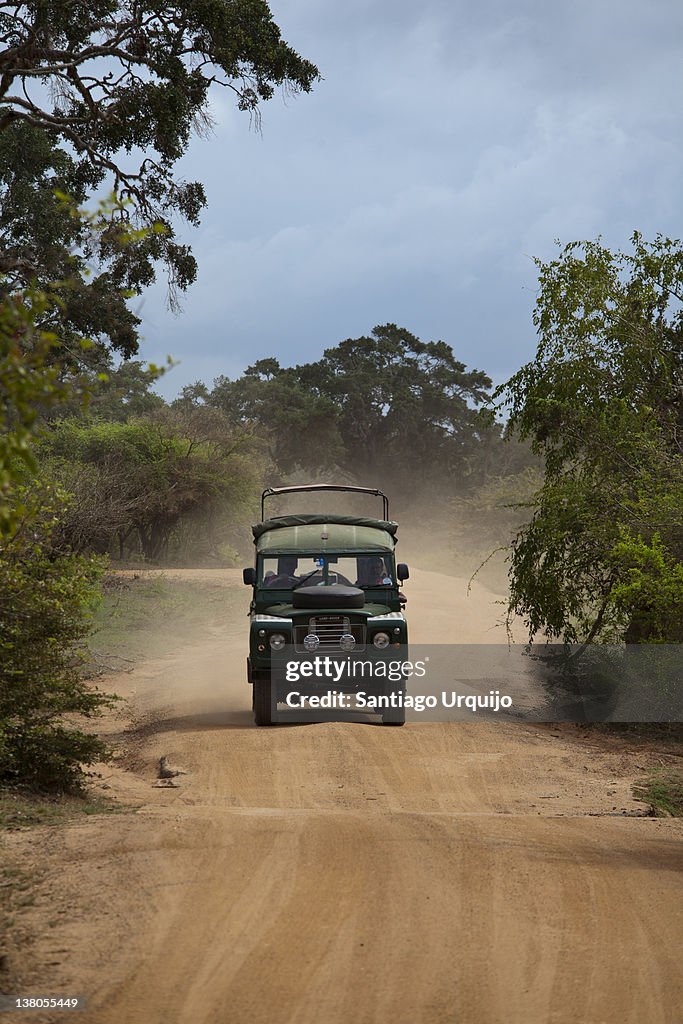 Jeep roaming Yala National Park