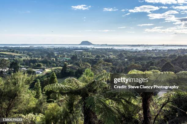 mount maunganui - mount maunganui stock pictures, royalty-free photos & images