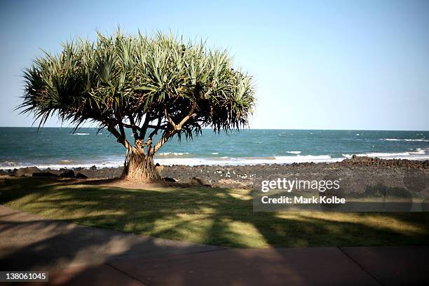 General view of Bargara Beach is seen on January 13, 2012 near Bundaberg, Australia. The city of Bundaberg, colloquially known as "Bundy" is located...