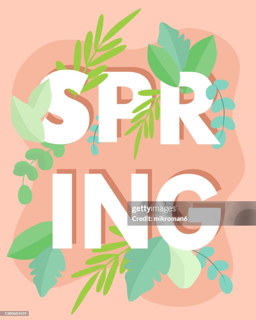 Illustration of a single word surrounded with leaves. Word spring spelled out in capital letters.