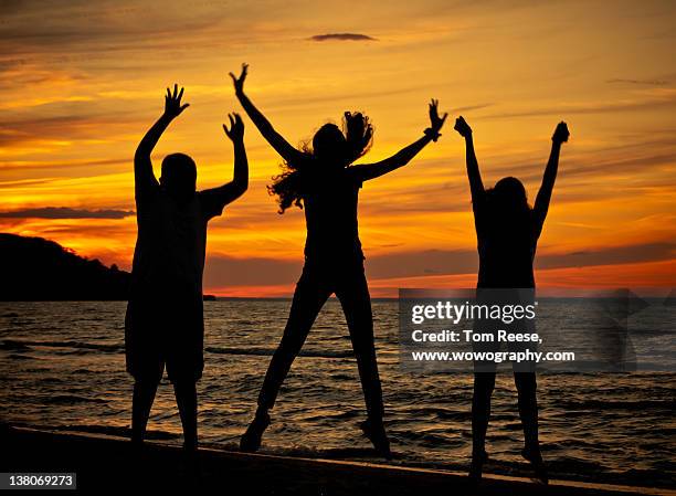 family enjoys on beach in sunset - wowography - fotografias e filmes do acervo
