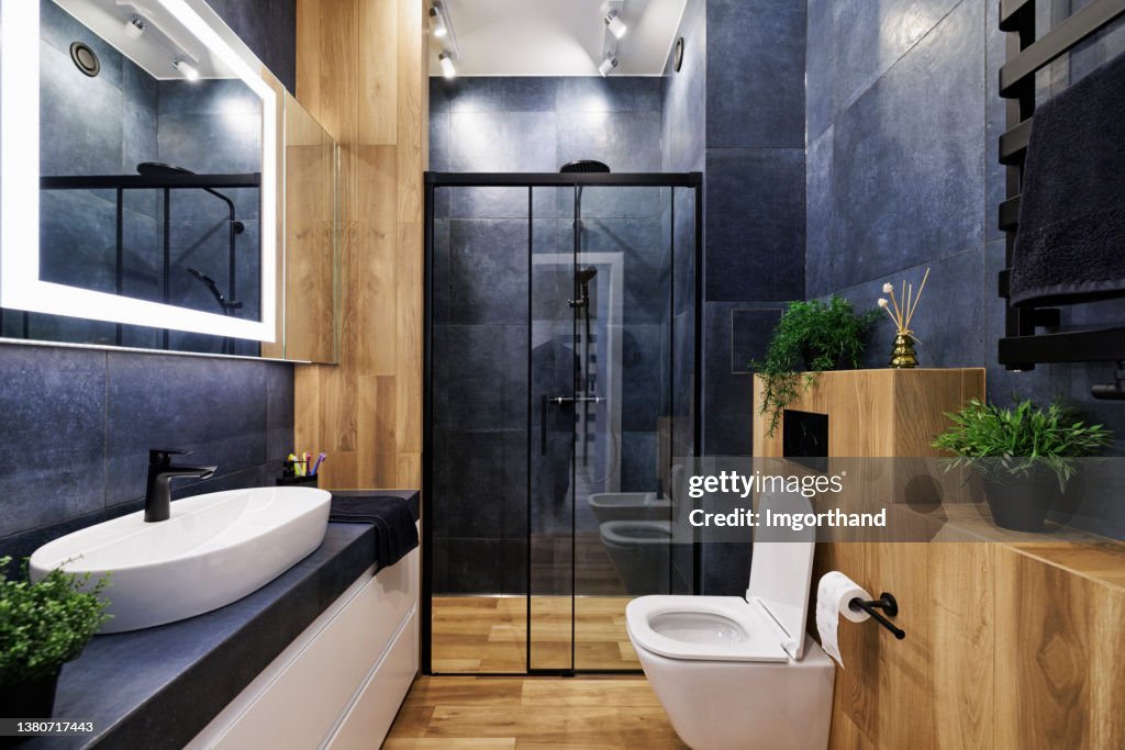 Baño de lujo moderno azul oscuro.