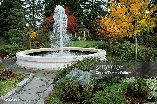 fountain in garden seattle zoo washington - fountain stock pictures, royalty-free photos & images