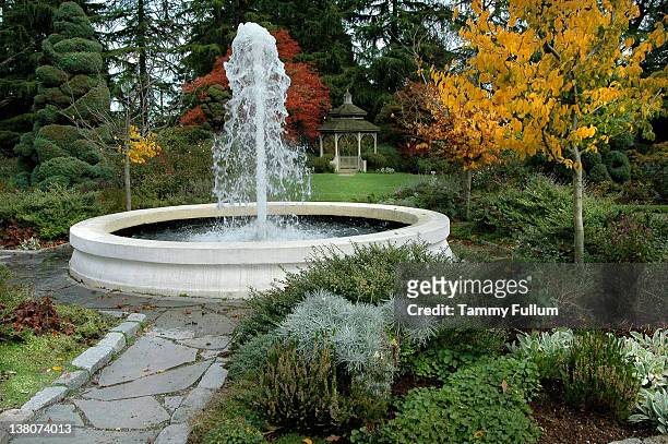 fountain in garden seattle zoo washington - fountain 個照片及圖片檔
