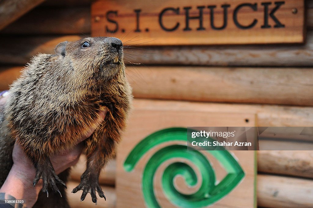 2012 Groundhog's Day