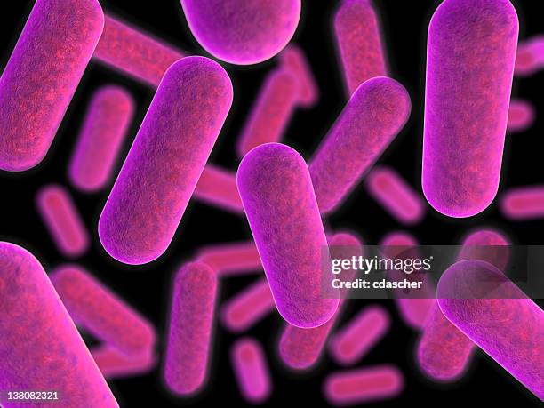 magnified view of purple tinted bacteria - salmonella bacterium stockfoto's en -beelden