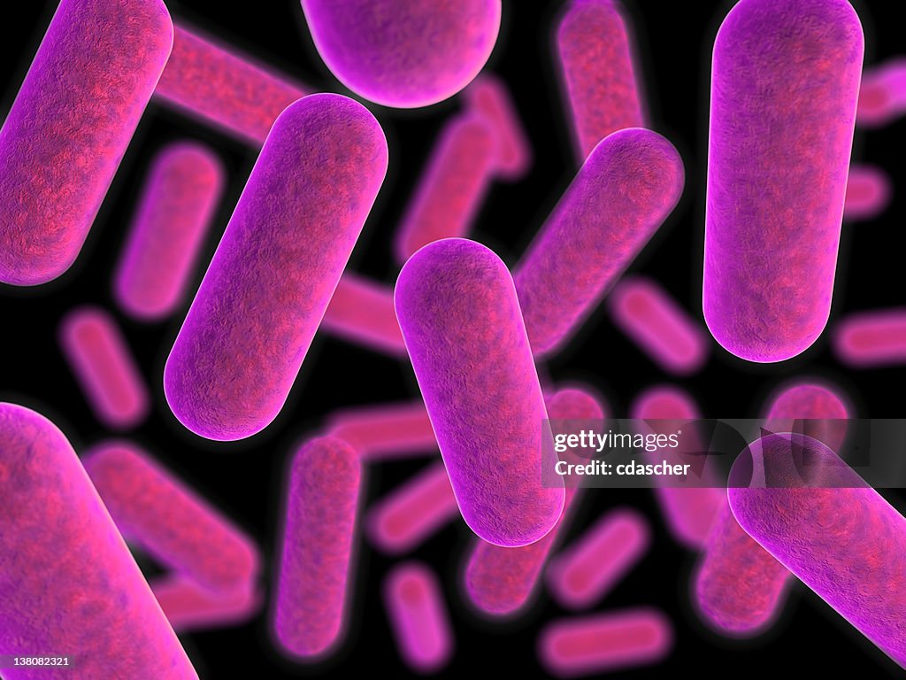 Magnified view of purple tinted bacteria