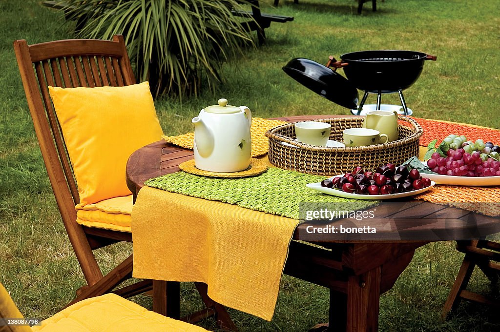 Picnic table and barbecue on garden