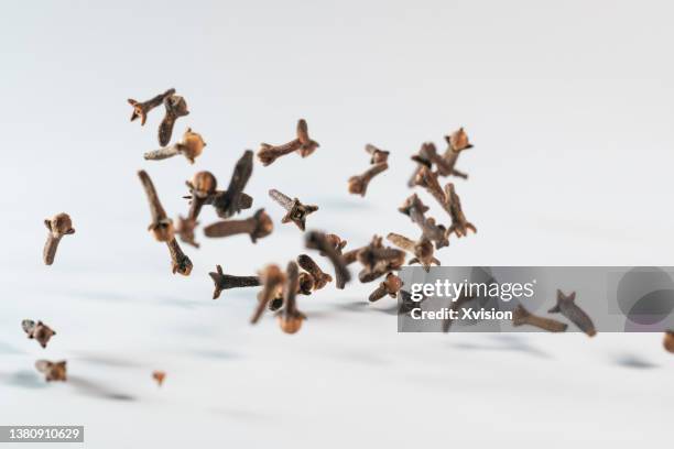 cloves flying in mid air in white background - cravo da índia imagens e fotografias de stock