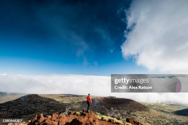 a young woman looks at a dramatic volcano crater from a viewpoint on hawaii’s tallest mountain - hawaii observatory stock pictures, royalty-free photos & images