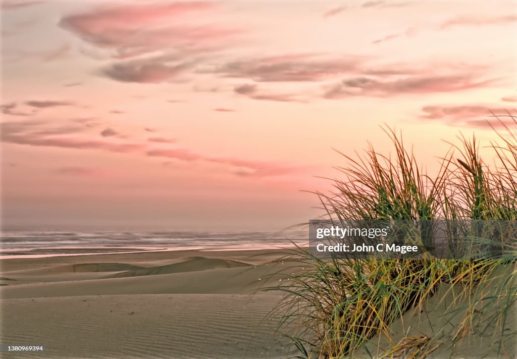 Beach Sunrise, Sand, And Sawgrass