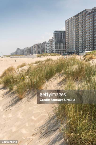 the beach and tourist resort at koksijde - belgische kustlijn stockfoto's en -beelden