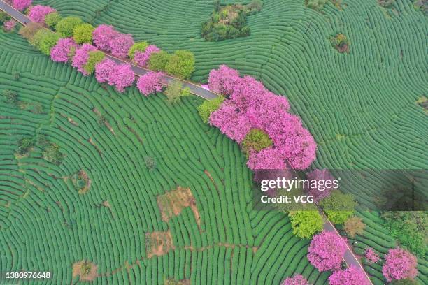 Longyan Cold Spring 7,631 Longyan Stock Photos, High-Res Pictures, and Images - Getty Images