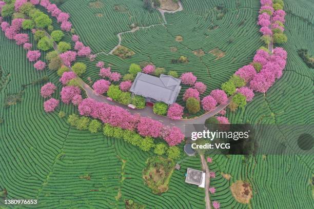 Longyan Cold Spring 7,631 Longyan Stock Photos, High-Res Pictures, and Images - Getty Images