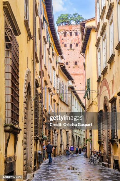 lucca, via sant'andrea & torre guinigi (tuscany, italy) - lucca italy stock pictures, royalty-free photos & images