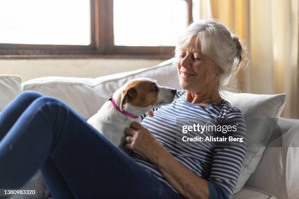senior woman playing with pet dog at home - morning dog stock pictures, royalty-free photos & images