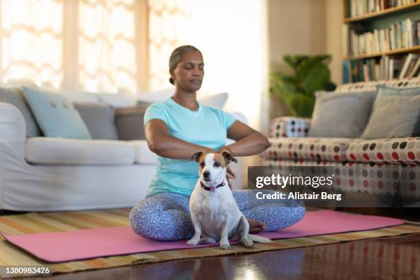 mature woman doing yoga exercises with her pet dog - zen dog stock pictures, royalty-free photos & images