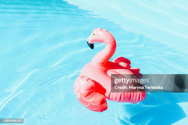 swimming circle in the form of a pink flamingo in the pool. swimming pool. summer vacation. rest. blue water. swimming in the pool. vacation. hot weather. pink flamingo. swimming. swim circle. - float photos et images de collection