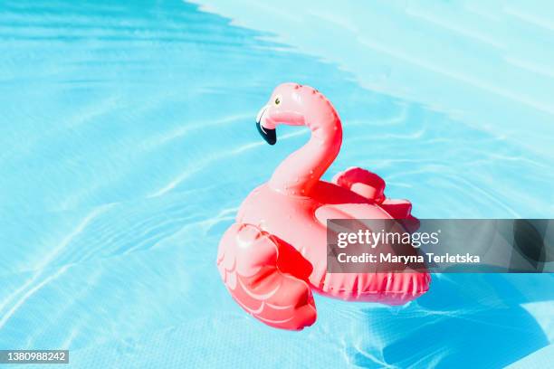 swimming circle in the form of a pink flamingo in the pool. swimming pool. summer vacation. rest. blue water. swimming in the pool. vacation. hot weather. pink flamingo. swimming. swim circle. - ukraine travel stock pictures, royalty-free photos & images