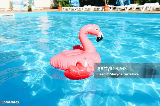 a swimming circle in the form of a pink flamingo lies in the pool. swimming pool. summer vacation. rest. blue water. swimming in the pool. vacation. hot weather. swimming. swim circle. - flamingos stock-fotos und bilder