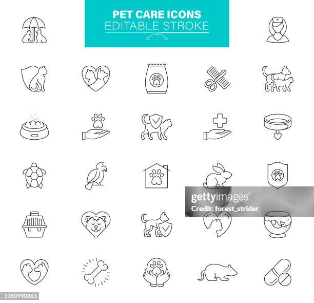 ilustrações, clipart, desenhos animados e ícones de ícones de cuidados de animais de estimação golpe editável. conjunto contém ícones como cão, gato, médico, veterinário, grooming, pet food - arrumado