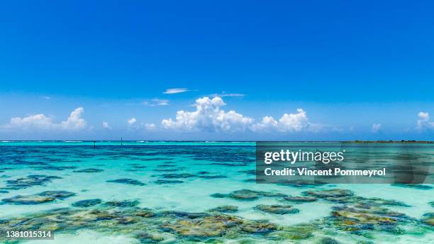 inside moorea island - lagoon stock pictures, royalty-free photos & images