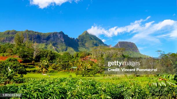 inside moorea island - moorea stock pictures, royalty-free photos & images