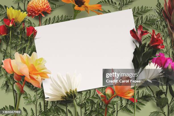 flowers frame top view with blank paper.template - wedding card stock-fotos und bilder
