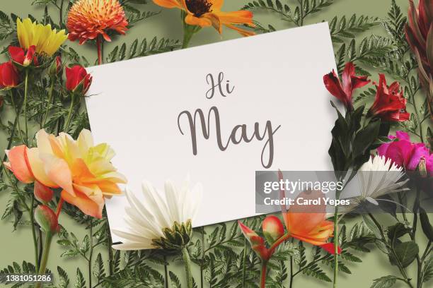 may message in paper. floral and green background - may in the summer stock pictures, royalty-free photos & images