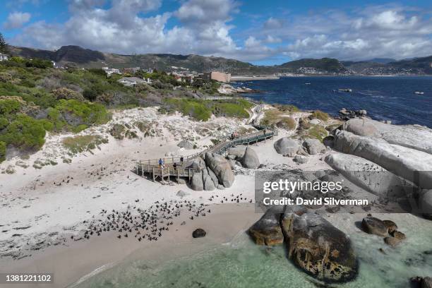 An aerial view of the Boulders Penguin Colony, part of the Table Mountain National Park, on February 9, 2022 in Simonstown in South Africa's Western...