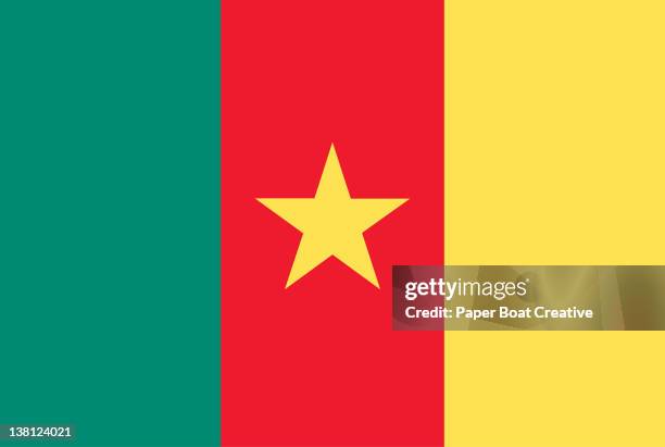 ilustrações de stock, clip art, desenhos animados e ícones de illustration of the national flag of cameroon - bandeira dos camarões