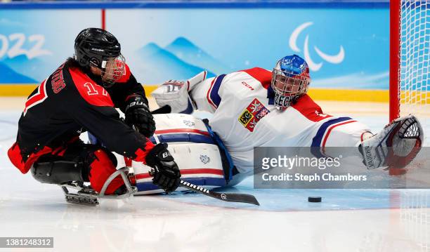 Yifeng Shen of Team China scores their first goal past Martin Kudela of Team Czech Republic in the second period during the Group B Preliminary Round...