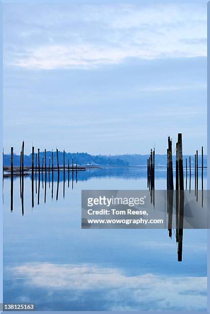 pilings at sea with floating docks - wowography stock pictures, royalty-free photos & images