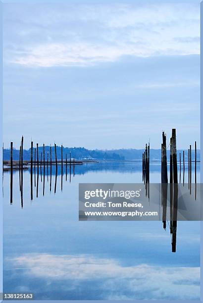 pilings at sea with floating docks - wowography - fotografias e filmes do acervo