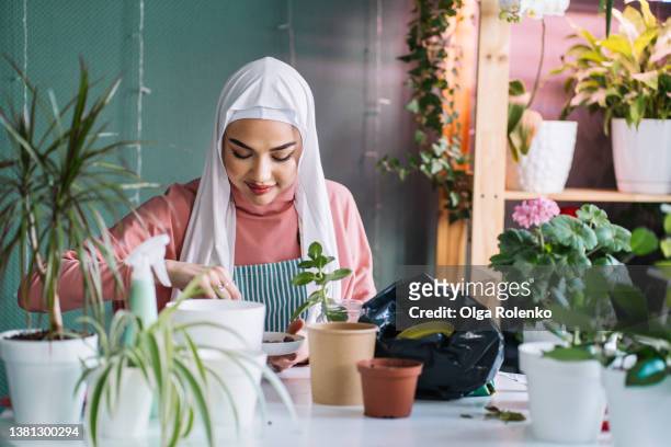 beauteous muslim woman in white veil hijab covering her head, with make up, gardening indoors. - lili gentle fotografías e imágenes de stock