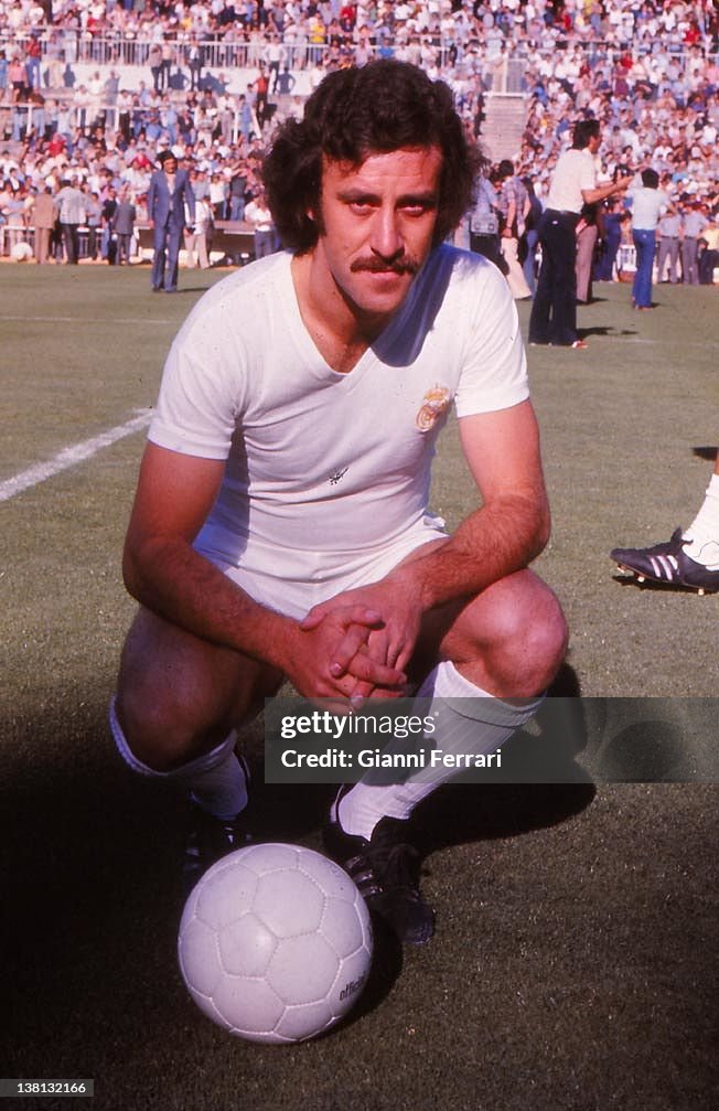 Soccer player Vicente Dell Bosque