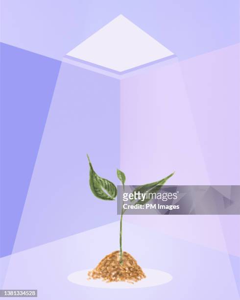 illustrated plant under light - scientific development and splendid achievements stock pictures, royalty-free photos & images