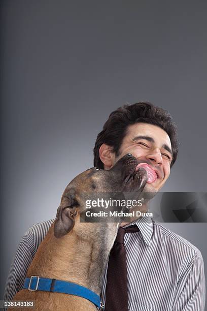 studio shot, portrait of  businessman being licked - animal head stock pictures, royalty-free photos & images