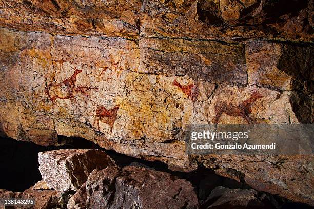 hinds and horse. - cave painting stock pictures, royalty-free photos & images