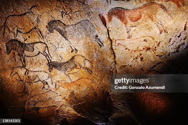 ekain cave, ekainberri cave. - prähistorische kunst stock-fotos und bilder