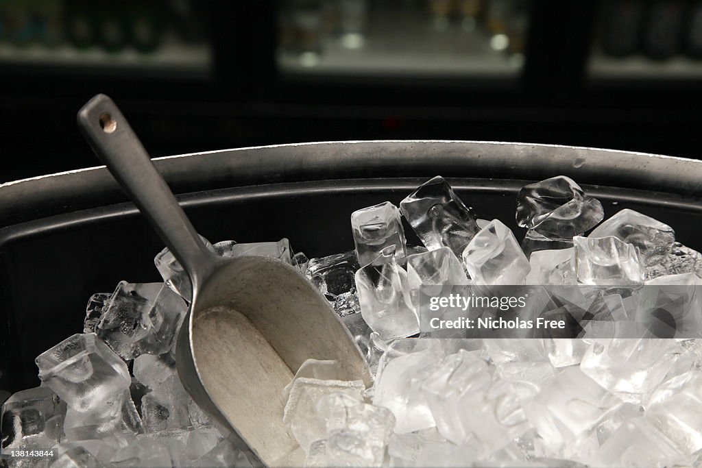 A photograph of a bucket of ice with a trowel