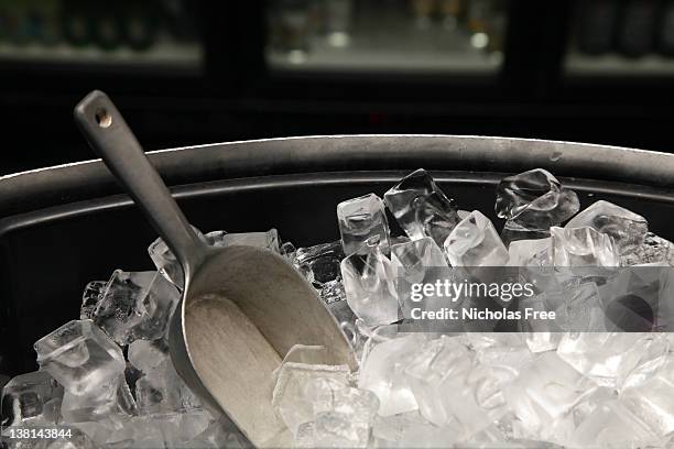 a photograph of a bucket of ice with a trowel - serving scoop stock pictures, royalty-free photos & images