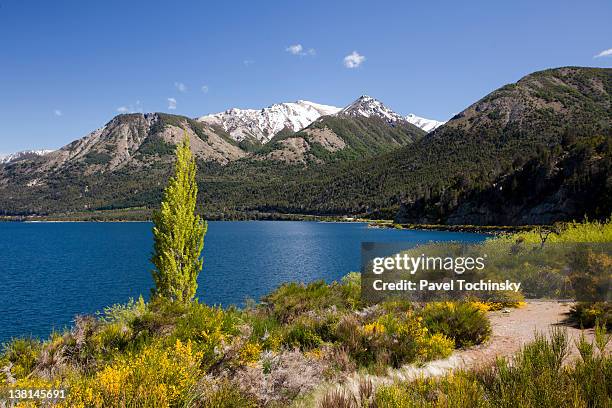 nahuel huapi lake - nationaal park nahuel huapi stockfoto's en -beelden