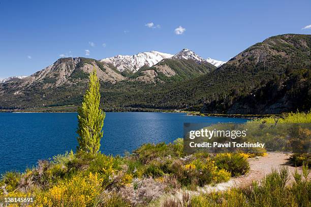 nahuel huapi lake - nahuel huapí bildbanksfoton och bilder