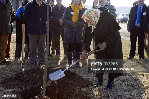 Britain's Queen Elizabeth plants a tree in Jubilee Wood on the Sandringham Estate in Norfolk on February 3 to mark her diamond jubliee. Queen...